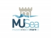 musea-300x270